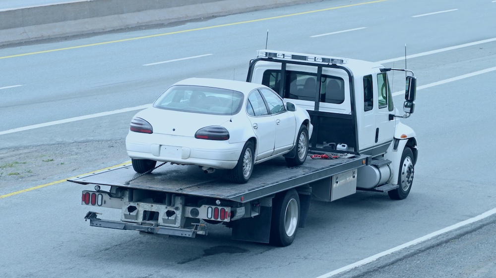 Cargo & Trucking Services